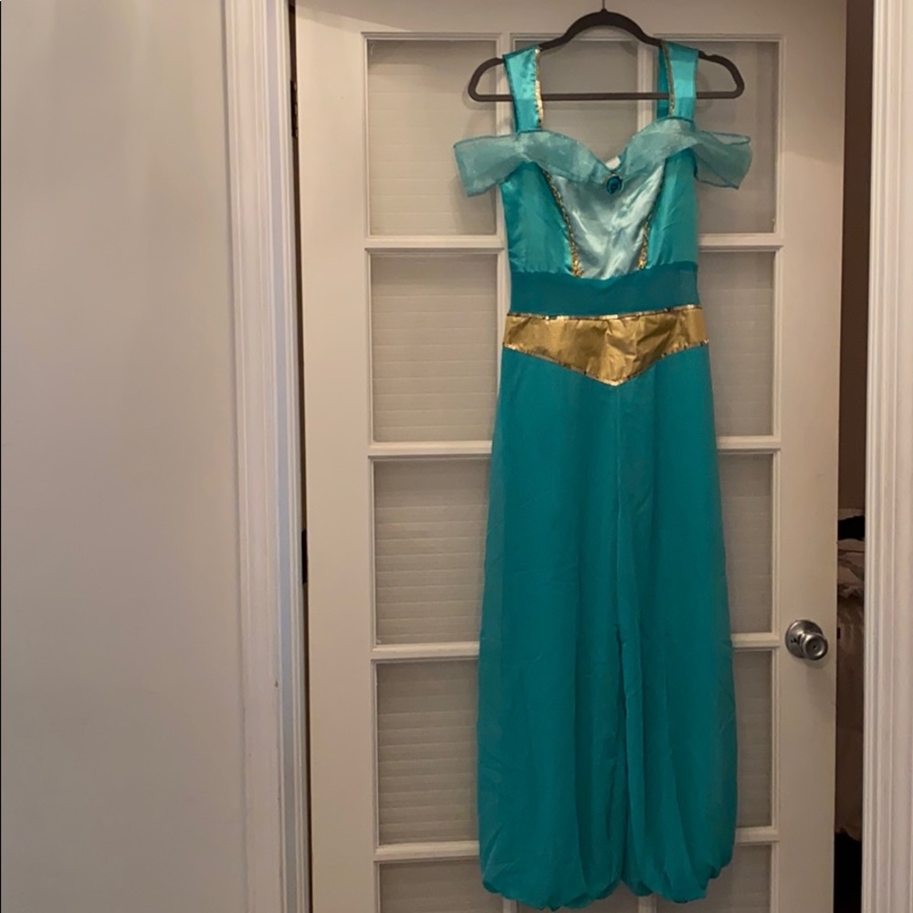 Princess Jasmine Costume, Size 8-10 (Adult)